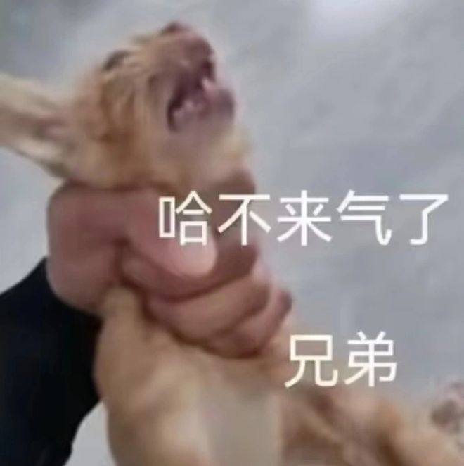 片的大罪人监狱都被民间礼物塞满了…AG真人国际给日本人提供不打码影(图13)